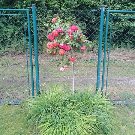 U Zámečku Casa vacanze